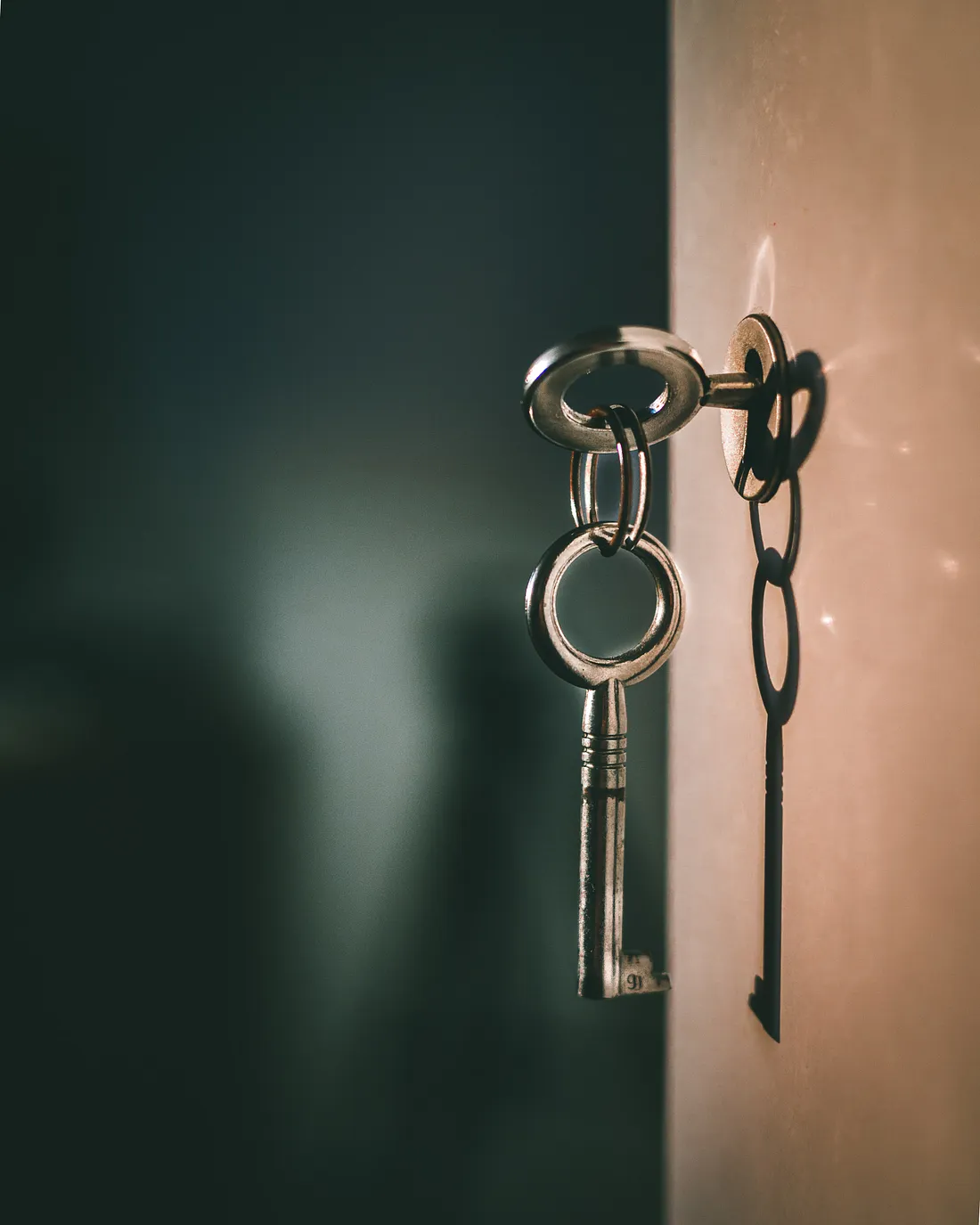 Understanding Object-Oriented Programming through real-world analogies